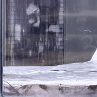 IMG_0266