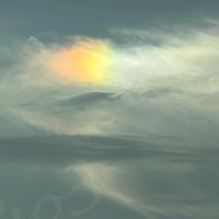 IMG_0317