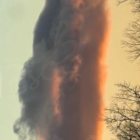 IMG_0584
