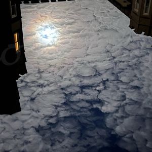 IMG_0774