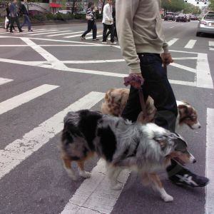 street photography 9