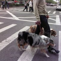 street photography 9